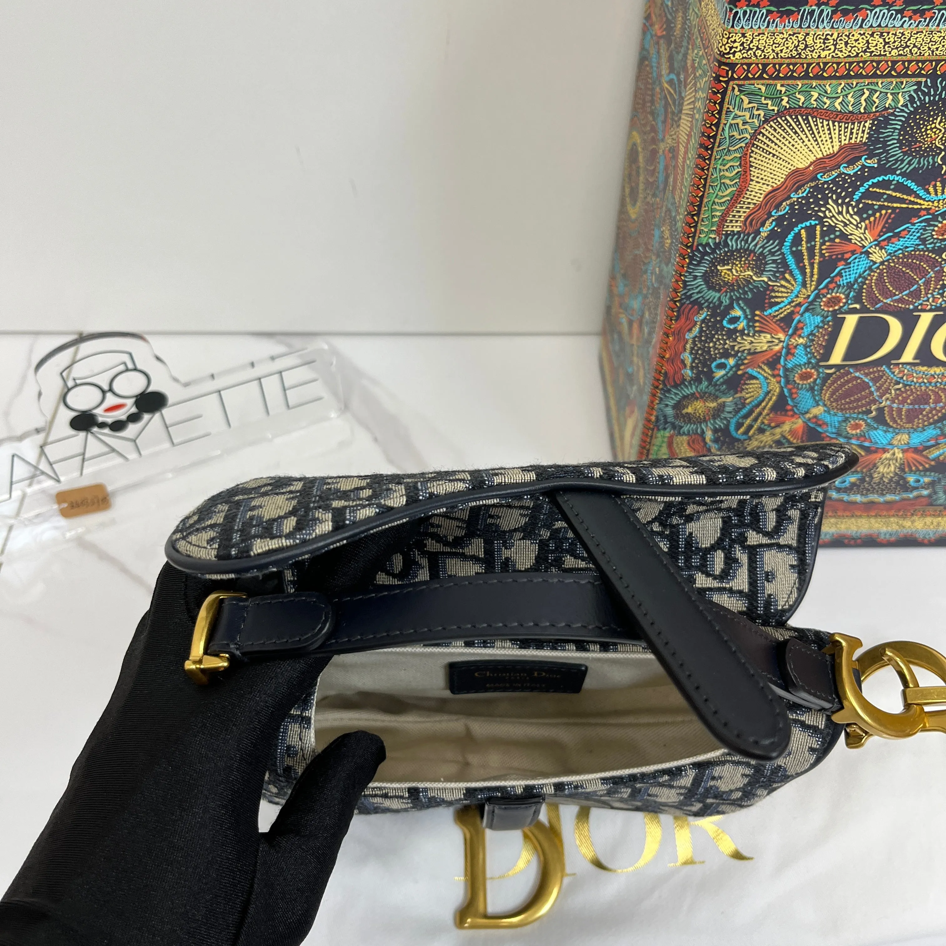 Christian Dior Mini Saddle