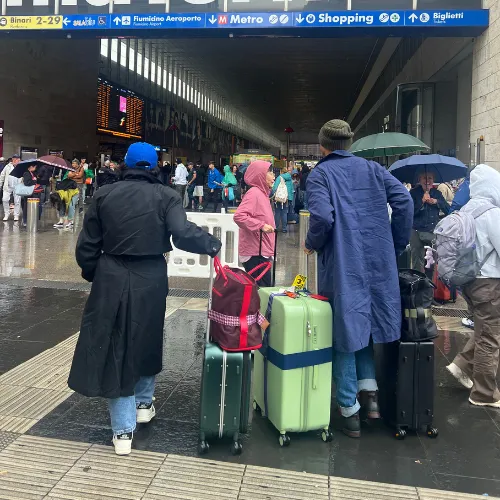 Luggage Straps - Navy